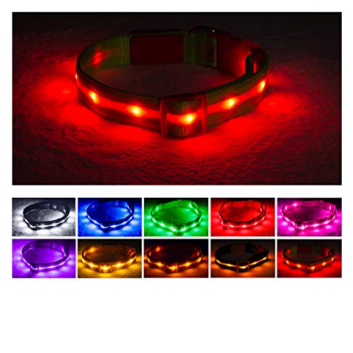 Blazin' Safety LED Hundehalsband - USB wiederaufladbar mit wasserfestem Blinklicht, Small, Weihnachten