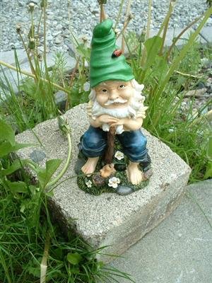 4 Lustige Gartenzwerge Gnome 22cm NEU Gartenzwerg NEU - 2