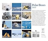 Image de Polar Bears 2017 Calendar
