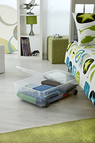 Rotho Aufbewahrungsbox Clear Box Slido 30 L. von Rotho mit 2-teiligem Deckel und Rollen – QR-Code AppMyBox – 30 L. Volumen – (LxBxH) 70.5x40x19.5 cm – transparent – stapelbar – Kunststoff/Plastik (PP) – Div. Größen - 3