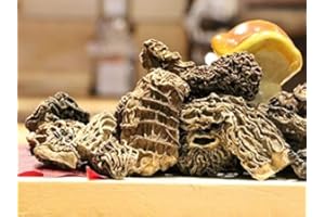 REFUGE DE MARIE-LOUISE Morilles séchées - 30g