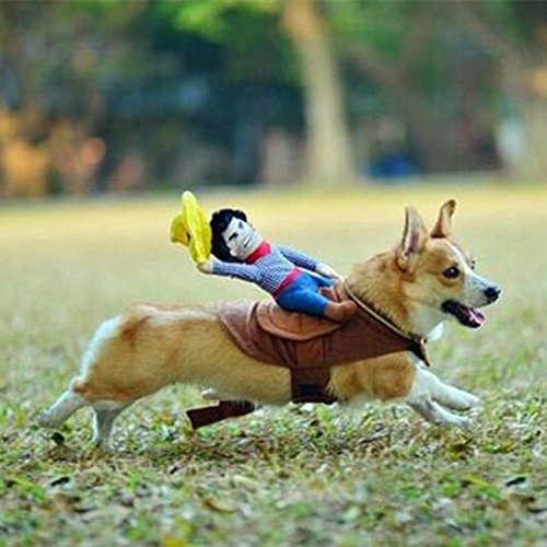 IdepetTM-Halloween-Cowboy-Dog-Cat-Costume-Clothes-Novelty-Funny-Pets-Party-Cosplay-Apparel-Dog-Riders-Clothing