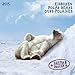 Polar Bears 2015 by