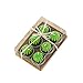 Produktbild Handgefertigt Sukkulente Kaktus Teelicht Kerzen, Mini Zarte lange Brenndauer Sukkulenten Pflanzen Teelichter Kerzen für Home Hochzeit Geburtstag Party Hochzeit Spa Dekoration Valentinstag Geschenk von asdomo, Prickly Pear, 4*4cm