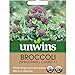 Produktbild Unwins Brokkoli Samen - Keimung Weinrot