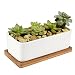 Produktbild Y&M™ Pflanzschale für Sukkulenten und Kakteen, weiße Keramik, modern und dekorativ, 15,2 cm, rund