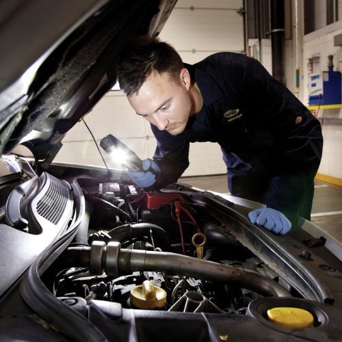 WOLFTEETH Arbeitslicht 36+5 LED Taschenlampe mit starken Magneten für Camping, Auto, Garage, Notfall 7192 - 7