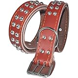 Pyrus Leder zweireihig Nail Hundehalsband Pet Halsbänder für mittelgroße und große Hunde