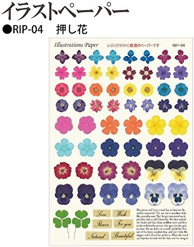 Resin craft illustration paper A5 size pressed flower