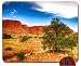 Produktbild Pine Tree in Utah Wilderness mouse pad computer mousepad