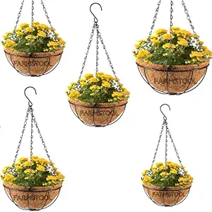 FarmsTool Coir Brown 8 Inch Garden Flower Hanging Basket Pots with Metal Chain for Balcony and Indoor Gardening - 5 Pieces