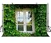 Produktbild JoneAJ 7x5ft Holzfensterhintergrund Green Vine Vintage Holzfenster Fotografie Hintergrund und Studio Fotografie Kulisse Requisiten LYNAN191