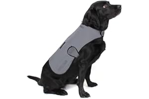 Proviz Waterproof Dog Jacket REFLECT360-100% Reflective and Waterproof (Large)