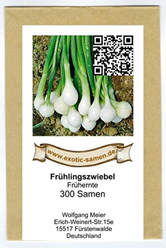 Frühlingszwiebel – Frühernte (300 Samen) - 2