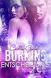 Cover zum Buch Burning: Entscheidung: Band III