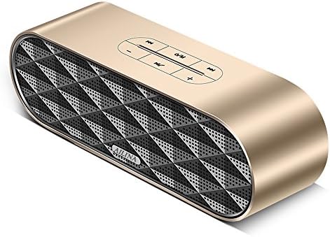 Portable Bluetooth Stereo Speaker,AILINA F4 6W Dual-Driver 2000mA with Microphone Calls Bluetooth Speakers,Support 32G TF/SD Card,Power Consumption Display,Long Battery Life for Smartphone,Laptop, Tablet, MP3 Player (Gold)