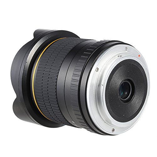 Andoer Kelda 6 5mm f 3 5 Professional Camera asph rique circulaire Ultra Fisheye pour Canon Rebel XT SL1 XTi XSi XS T5 T5i T4i Appareils photo num riques SLR reviews Andoer Kelda 6 5mm f 3 5 Professional Camera asph rique circulaire Ultra Fisheye pour Canon Rebel XT SL1 XTi XSi XS T5 T5i T4i Appareils photo num riques SLR