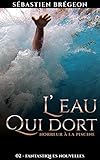 Image de L'eau qui dort: Horreur à la piscine (Fantastiques Nouvelles t. 2)