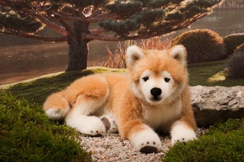 Preisvergleich Produktbild Kösener 6230 Shiba Inu Hachiko liegend 33 cm