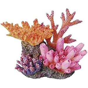 Haquoss Reef Dream 4, 11x 8.5x 7.5h cm