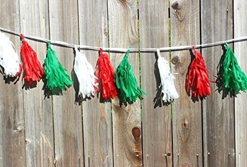 Cinco de Mayo Decorations Banner, Green, White, Red Tassels, Mexico, Fiesta Party, Already Assembled 8 ft. w/16 Tassels Tissue Paper
