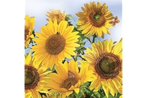 Crafty Things 4 x Paper Napkins - Sunflowers in the Sky - Ideal for Decoupage/Napkin Art