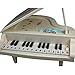 Fajiabao Best Birthday Gift Electronic 14 Keys Little Educational Piano Music Keyboard Game Toy Set with Light and Song for Children Boys Girls Kids Musical Early Learning