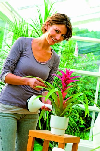 Gloria Feinsprüher Design Handsprüher 0,8L, anthrazit - 6