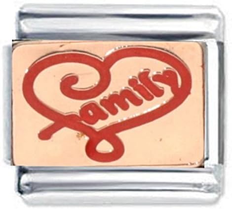 Daisy CharmRose Gold Family Infinity Fits all 9mm Italian Style Charm Bracelets