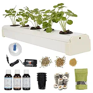 City Greens Hydroponics Kit for Home - DWC Hydroponic System - 5 Planter Set - Beginner Starter kit for Kids