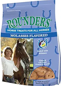 Rounders Horse Treat, 30 oz Molasses