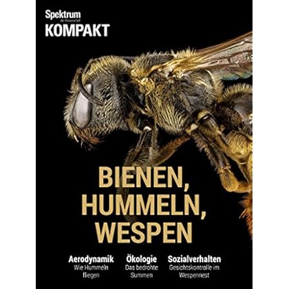Spektrum Kompakt - Bienen, Hummeln, Wespen Spektrum Kompakt - Bienen, Hummeln, Wespen