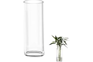 TSKDKIT Jarrón grande de cristal para flores de 30 cm, jarrón cilíndrico transparente para sala de estar, jarrón grande moderno de 30 x 10 cm
