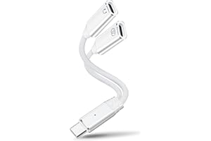 HAUXGOGO 2-i-1 USB-C-hörlursadapter och laddning, dataöverföring