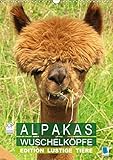 Alpakas: Wuschelköpfe - Edition lustige Tiere (Wandkalender 2019 DIN A3 hoch): Alpakas: Wollige Kleinkamele aus Südamerika (Monatskalender, 14 Seiten ) (CALVENDO Tiere) by 