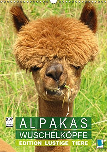Alpakas: Wuschelköpfe - Edition lustige Tiere (Wandkalender 2019 DIN A3 hoch): Alpakas: Wollige Kleinkamele aus Südamerika (Monatskalender, 14 Seiten ) (CALVENDO Tiere)