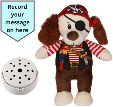 Splodge Recordable Gift Bear- 25cm - Pirate Dog - Record a 20 second personal message and send in a bear