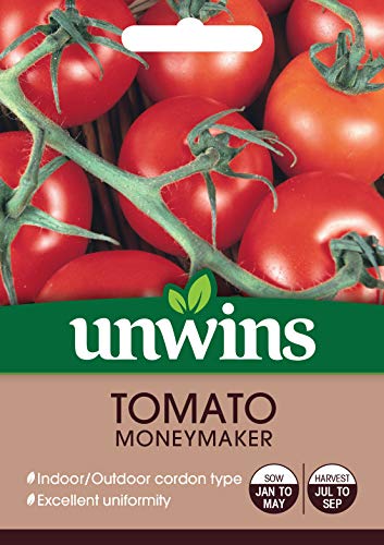 Preisvergleich Produktbild Unwins 30310637 Tomatensamen, rund, transparent
