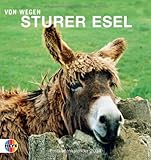Sturer Esel 2014. Postkartenkalender by 