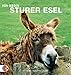 Sturer Esel 2014. Postkartenkalender by 