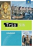 Trio Geschichte/Erdkunde/Politik / Ausgabe 2008 für Niedersachsen: Trio Geschichte/Erdkunde - Ausgabe 2008 für Niedersachsen: Arbeitsheft 5 / 6 (Trio Geschichte/Erdkunde/Politik, Band 2) by 