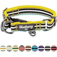 [Gesponsert]Blueberry Pet 2cm M 3M Reflektierendes Bunt Gestreiftes Gelb und Azurblaue Hundehalsband für Mittelgroße Hunde