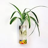 Material: vidrio de borosilicato.