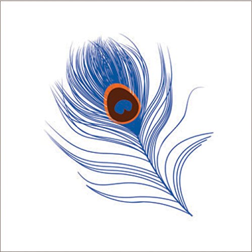 aden + anais 8948G Silky Soft Single Swaddle Mela – Peacock - 5