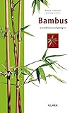 Image de Bambus: Auswählen und pflegen (Garten-Ratgeber)
