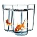 Produktbild Iittala Alvar Aalto Collection - Vase - 160 mm - Klar