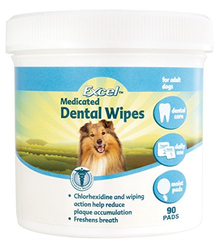 Excel Medicated Dental Wipes, 90 wipes (J7412)