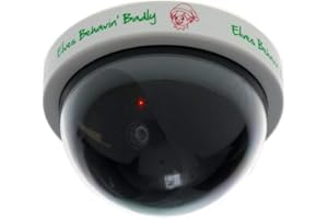 Elves Behavin' Badly Dummy Security Camera, 10x10x13