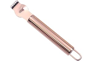 HEIBTENY Limone Zester Grattugia Limone in acciaio per frutta, lama affilata in acciaio