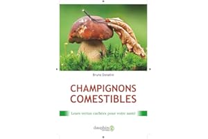 Champignons comestibles: LEURS VERTUS CACHÉES POUR VOTRE SANTÉ